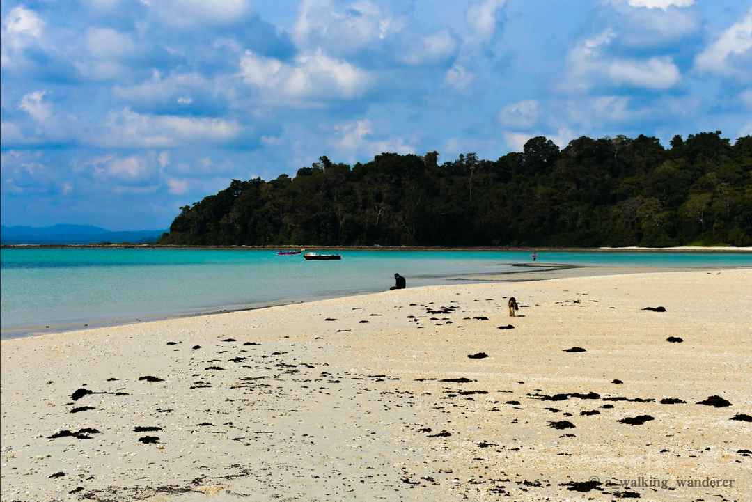 Discover the Untouched Splendor of Andaman Island: A Hidden Gem in the  Bay of Bengal
