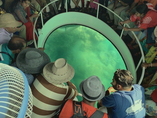 Experience the Magic of Glass-Bottom Boat Rides