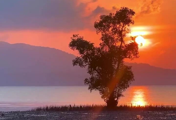 Chidiya Tapu: A Serene Sunset Paradise in Andaman